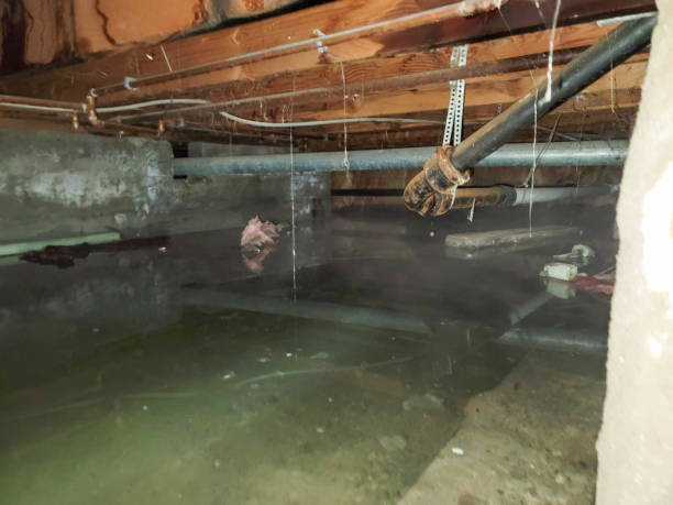 Best Emergency water damage restoration  in Tolono, IL