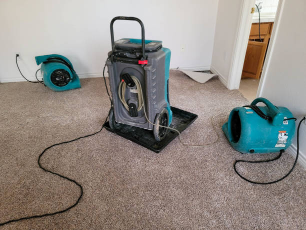 Best 24-hour water damage restoration  in Tolono, IL
