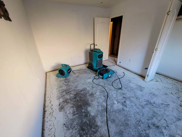 , IL Water damage restoration Company
