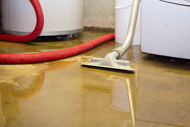 Best Flooded house restoration  in Tolono, IL