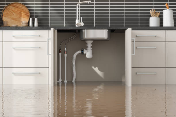 Best Flood damage cleanup  in Tolono, IL