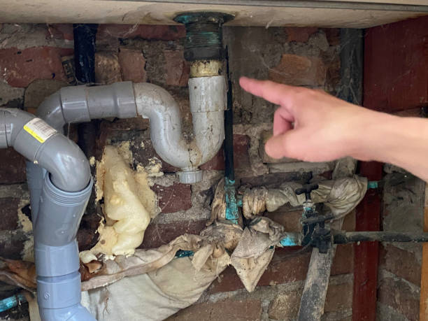 Best Carpet water damage restoration  in Tolono, IL