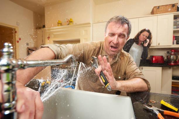 Best Water damage restoration specialists  in Tolono, IL